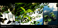 D12 littlethings_Series2